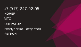 9172279205